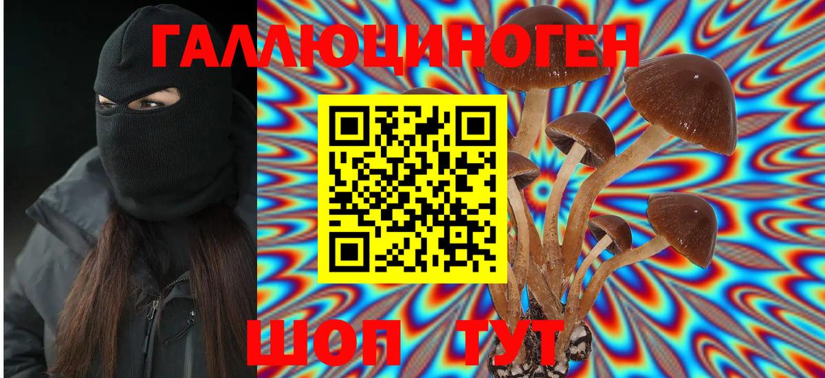 Галлюциногенные грибы Psilocybine cubensis Верхняя Салда
